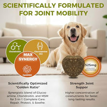 Load image into Gallery viewer, KISFLY Hip &amp; Joint Chews for Senior Dogs – Advanced Mobility Formula
