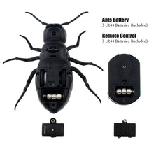Load image into Gallery viewer, Remote Control Ants RC Car Vehicle Animal Electric Insect Kids Toy for Birthday Christmas
