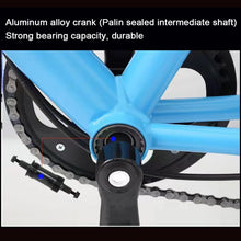 Load image into Gallery viewer, Shopping Exercise Adult Tricycle 7 Speed Three Wheel Fat Tire Bike for Adults Cruise Bike 20 Inch Adjustable Seat
