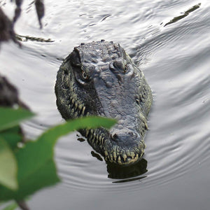 V005 RC Boat 2.4G Remote Control Electric Racing Boat for Pools with Simulation Crocodile Head Spoof Toy