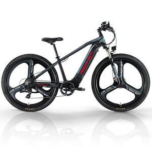 Electric Bikes for Adults,29inch Fat Tire Electric Mountain Bicycle,500w 48v Hidden in The Frame Removable Battery