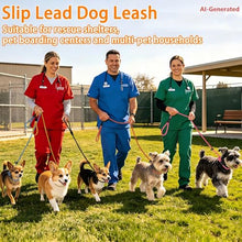 Load image into Gallery viewer, FOVRLZSE 18 Pack Bulk Nylon Dog Slip Leashes,9 Mixed Colors 4.6FT/1.4M

