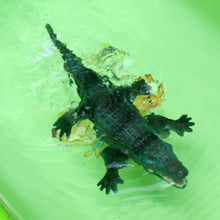 Load image into Gallery viewer, Realistic RC Crocodile Remote Control Fish Boat Electric Animal Water Toy for Swimming Pool Lake Kids Birthday (Green)
