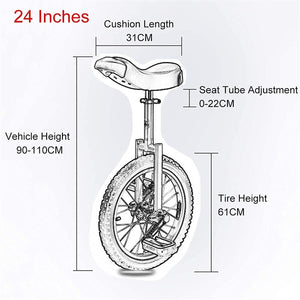 24INCH Balance Bicycle Unicycle for Home & Gym Fitness, Skidproof Mountain Tire, 150Kg Load Capacity, Blue