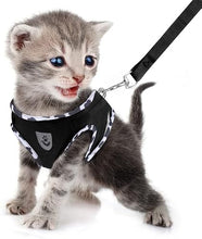 Load image into Gallery viewer, FEimaX Dog Harness and Leash Set for Walking, Soft Mesh Adjustable Easy Control Lightweight Cat Vest Harnesses with Reflective Strips, Escape Proof Small Dogs Cats Vests (Cowblack, Large)
