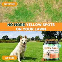 Load image into Gallery viewer, Dog Urine Neutralizer Chews for Lawn Burn Spots with DL-Methionine, 200ct
