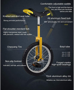 Unicycle, Beginner Balance Riding Unicycle, Stage Unicycle Performance Car for Teenagers, Adults (24 Inch)