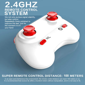 RC Airplane, 2 Channel RC Plane, 2.4GHz Remote Control Airplane, EPP Foam RC Glider, Easy to Fly RC Aircraft