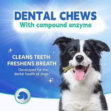 Load image into Gallery viewer, Dr.vet Dog Dental Chews, Dog Dental Sticks for Plaque and Tartar Remover for Dogs, Dog Breath Freshener and Teeth Cleaning Treats, Rawhide Free Dog Chews for Small Breed Dog Treats, 100g (7 Sticks)
