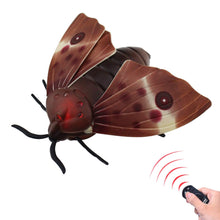 Load image into Gallery viewer, RC Moth Animal Toy Remote Controlled Car Vehicle Electric Insect Kids Toys Gifts for Birthday Christmas Halloween
