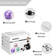 Load image into Gallery viewer, NEUMEE Yoga Ball Chair with 65cm Exercise Ball &amp; 2 Resistance Bands(Purple)
