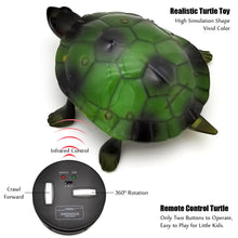 Load image into Gallery viewer, Cute RC Turtle Remote Control Tortoise Toy Realistic Simulation Electric Electronic Animal for Cat Toddler Kids Birthday (Green)
