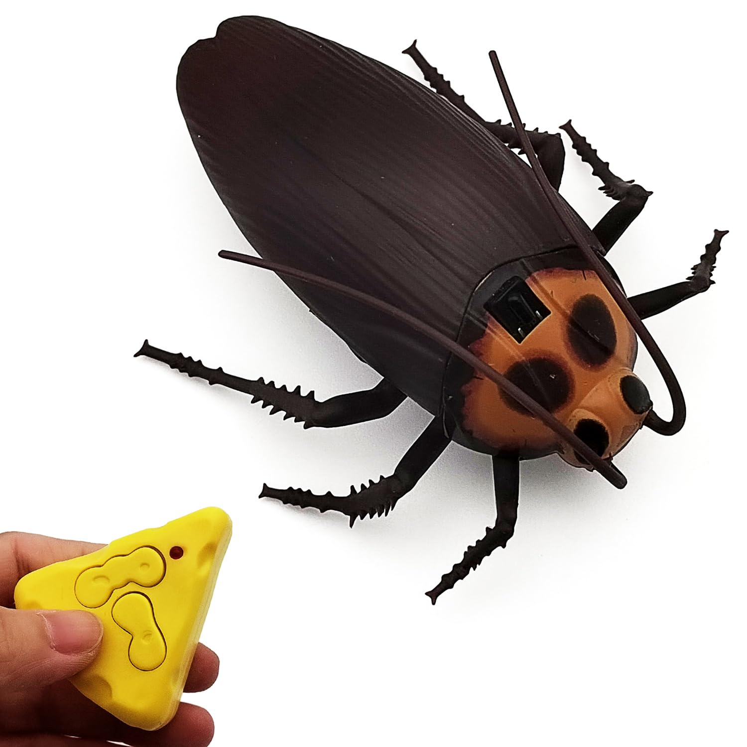 Mini Cocroach Mini RC Cockroach Toy Remote Control Roach Insect Realistic Simulation ...