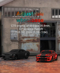 Turbo Racing 1:76 Scale Sport RC Car with Full Proportional RTR 2.4GHZ Remote Control with 2 Replaceable Body Shell (C75 Black)