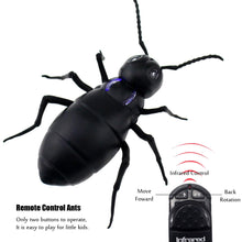 Load image into Gallery viewer, Remote Control Ants RC Car Vehicle Animal Electric Insect Kids Toy for Birthday Christmas
