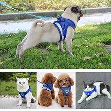 Load image into Gallery viewer, FEimaX Dog Harness and Leash Set for Walking, Soft Mesh Adjustable Easy Control Lightweight Cat Vest Harnesses with Reflective Strips, Escape Proof Small Dogs Cats Vests (Blue, Medium)
