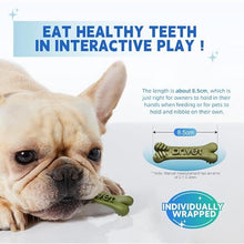 Load image into Gallery viewer, Dr.vet Dog Dental Chews, Dog Dental Sticks for Plaque and Tartar Remover for Dogs, Dog Breath Freshener and Teeth Cleaning Treats, Rawhide Free Dog Chews for Small Breed Dog Treats, 100g (7 Sticks)
