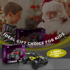 1:16 Scale RC Car for Kids, 2.4GHz High-Speed Electric Monster Truck, 20km/h, Dual 1000mAh Rechargeable Batteries