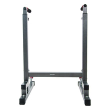 Load image into Gallery viewer, BalanceFrom Steel Frame Multi-Functional Home Gym Exercise Fitness Dip Stand Station - Gray
