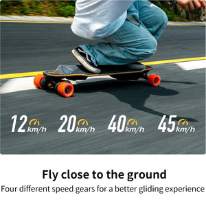Electric Skateboards with Remote, Top Speed of 25 Mph, 17miles Range, Flexible Tri-Laminate Deck, IP55 Waterproof, Electric Longboard