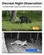 Load image into Gallery viewer, REOLINK 4K 4G LTE Security Cameras Wireless Outdoor, Cellular Trail Camera
