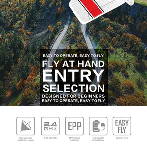 RC Airplane, 2 Channel RC Plane, 2.4GHz Remote Control Airplane, EPP Foam RC Glider, Easy to Fly RC Aircraft