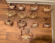 Load image into Gallery viewer, 1 Pack Crab Trap Hoop Net Crab Pot 2 Ring Trap for Pier Dock Jetty Dungeness Rock Blue Crabs with Float, Line Bait Clip and Bag 24" x 20" x 14" (1 Pack)

