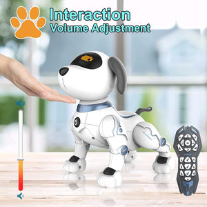 Robot Dog & Robot Toy for Kids