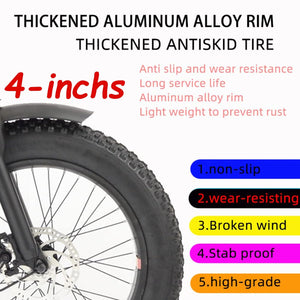 Adult Tricycle 20 Inches, Blue Fat Tire Trikes, Family Transport Off-Road Three-Wheeled Bicycles, Cruise 3 Wheel