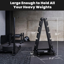 Load image into Gallery viewer, LIONSCOOL Premium Steel Dumbbell Rack Only, with Side Racks  (Large, 700 LBS)
