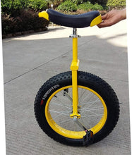 Load image into Gallery viewer, 14-24 inch Unicycle Perfect Beginner&#39;s Unicycle with Adjustable seat Alloy Rim and Extra-Thick Tires (Size : 20inch)
