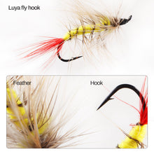 Load image into Gallery viewer, Fly Fishing Flies Assortment Kit Dry Wet Nyphms Tenkara Popper Streamer Woolly Bugger for Trout Bass Salmon Steelhead with Fly Box (60pcs-Salmon Steelhead Flies Kit with Waterproof Fly Box)
