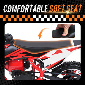 Mini Kid Dirt Bike,4-Stroke Gas Bike with Off-Rode Tire for Teens, Suspensions with Front and Rear Disc Brake, Red