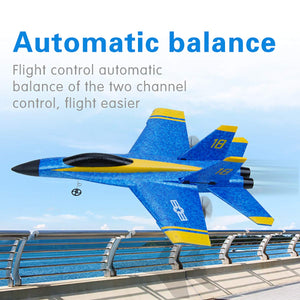 RC Plane Remote Control Airplane RTF RC Plane 2 Channel Remote Control Airplane, 2.4GHz Radio Control F18 Jet Aircraft with 2 Batteries
