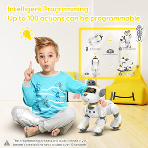 Remote Control Robot Toys Set, Smart Interactive Dog Toy and Blue RC Toy for Kids