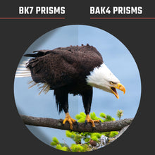 Load image into Gallery viewer, Athlon Optics Forerunner 10x42 Binoculars
