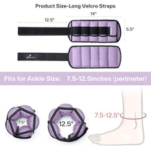 Load image into Gallery viewer, Sportneer Adjustable Ankle Weights Set - 1 Pair (2-10 lbs) Removable Sandbags -Lavender
