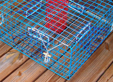 Load image into Gallery viewer, OceanBuilt Florida Large Blue Crab Trap with 6" White Buoy Kit – 11 x 24 x 24 Recreational Blue Crab Pot – Four-Throat Saltwater Crab Trap – Includes Buoy &amp; 30' Rope – PVC Coated Wire Fishing Trap
