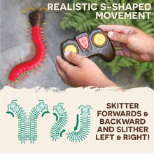 Load image into Gallery viewer, Remote Control Centipede Toy for Kids – RC Giant with LED Eyes – Electronic Arthropod Animal &amp; Fast Moving Legs
