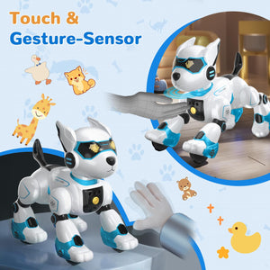 Robot Building Toys & Robot Dog for Kids