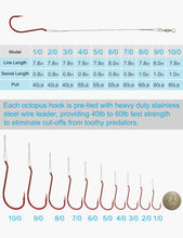 Load image into Gallery viewer, Facikono 1/0-10/0 Red Fishing Hook with Leader (4/0 Red, 100pcs)
