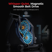 Load image into Gallery viewer, Sunny Health &amp; Fitness Foldable Magnetic Exercise X-Bike Pro, 300 LB Capacity- SF-B223011
