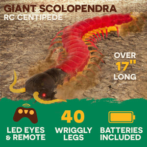 Remote Control Centipede Toy for Kids – RC Giant with LED Eyes – Electronic Arthropod Animal & Fast Moving Legs