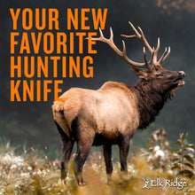 Load image into Gallery viewer, Elk Ridge ER-054CA 8.5-Inch Fixed and 5-Inch Folder Hunting Knife Set

