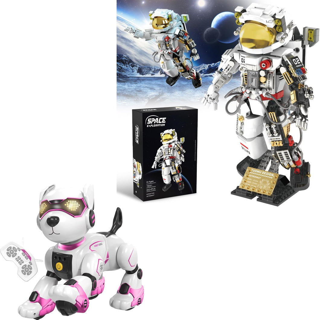 Space Astronaut Building Sets, Space Toys Building Blocks Stem Kit, Robot Dog Toys for Kids