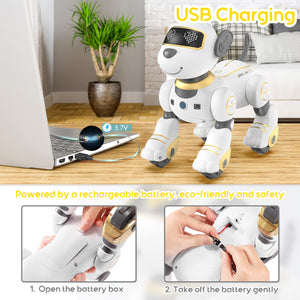 Remote Control Robot Toys Set, Smart Interactive Dog Toy and Blue RC Toy for Kids
