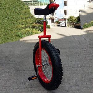 Unicycle, Beginner Balance Riding Unicycle, Stage Unicycle Performance Car for Teenagers, Adults (24 Inch)