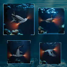 Load image into Gallery viewer, Remote Control Shark Toys High Simulation, Summer Water Toys for Kids, Ideal Gifts for Boys Ages 6+, Party Fun Games for Pool &amp; Bath (Gray)
