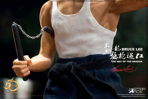 1/6 Action Figure Deluxe Version