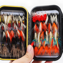 Load image into Gallery viewer, Fly Fishing Flies Assortment Kit Dry Wet Nyphms Tenkara Popper Streamer Woolly Bugger for Trout Bass Salmon Steelhead with Fly Box (60pcs-Salmon Steelhead Flies Kit with Waterproof Fly Box)
